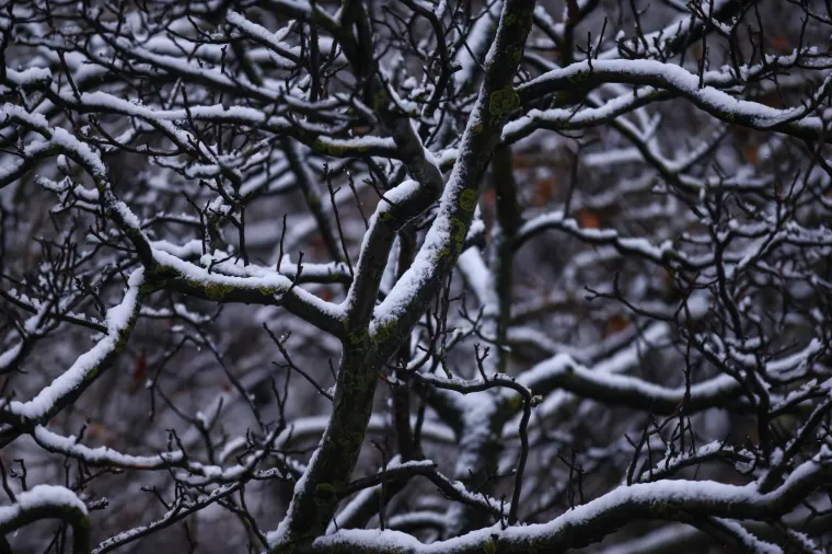 PREKRASNI PRIZORI SNJEŽNE IDILE U METROPOLI: Pogledajte kako je bijeli prekrivač zabijelio zagrebačke ulice