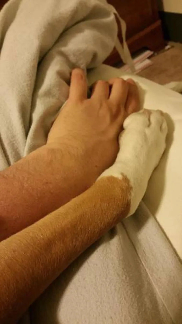 KUĆNI LJUBIMCI KOJI SU SE BA&Scaron; UDOMAĆILI: Postali najveće maze, te&scaron;ko ih je izbaciti iz kreveta