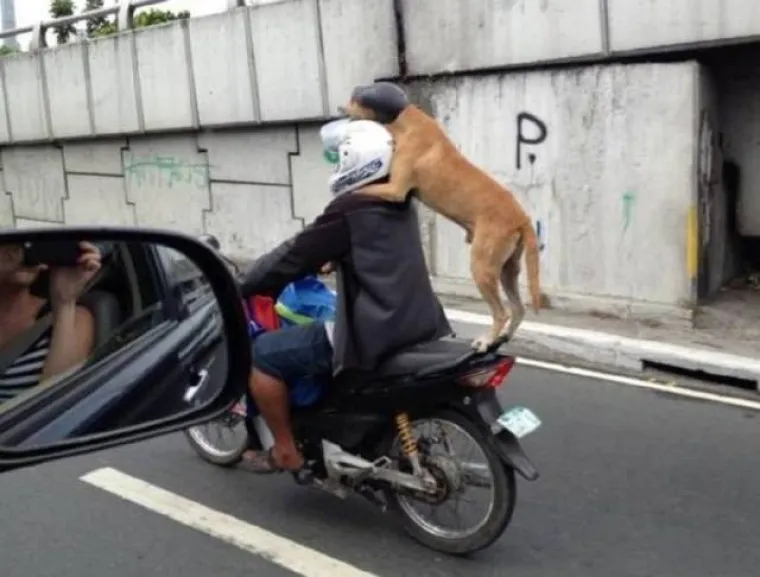 DOKAZALI DA JE LAKO DOBITI VOZAČKU: Nevjerojatno što si sve dopuštaju u prometu
