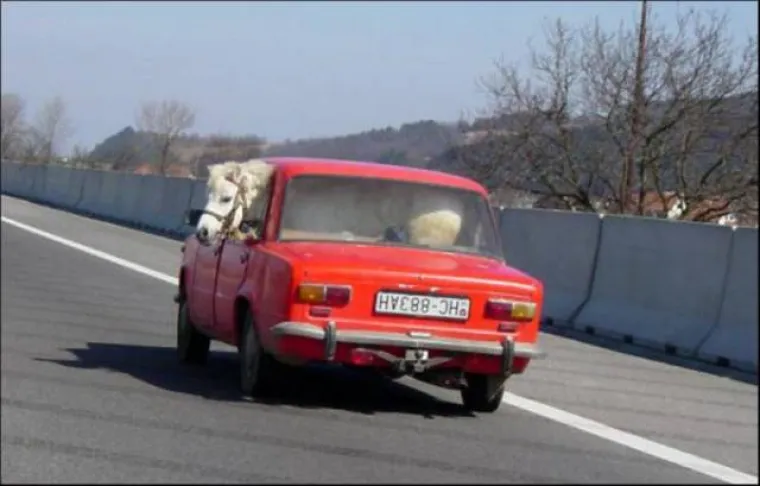 DOKAZALI DA JE LAKO DOBITI VOZAČKU: Nevjerojatno &scaron;to si sve dopu&scaron;taju u prometu
