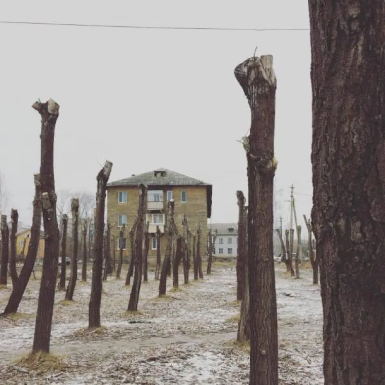 RUSI JO&Scaron; JEDNOM UZNEMIRILI I NASMIJALI PRIZORIMA IZ DOMOVINE: Bizarnostima s njihovih ulica nikad kraja