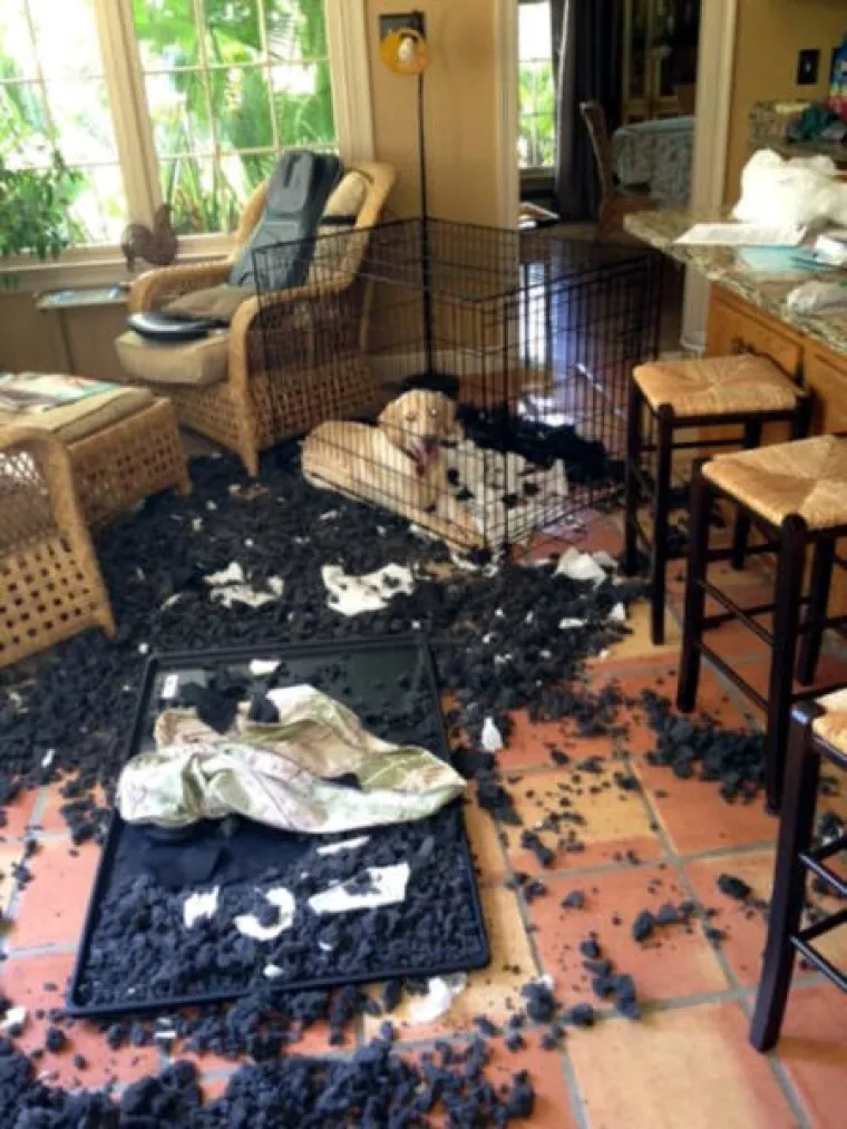 ŽIVOT IM JE PRIREDIO NEUGODNA IZNENAĐENJA: Poželjeli su zaplakati, ali su onda radije podijelili patnju s drugima