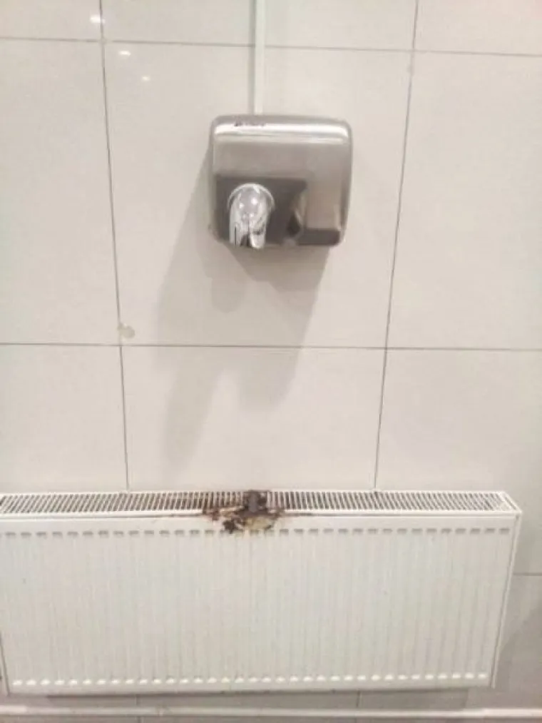 MAJSTORI POPILI PREVI&Scaron;E: Kažu da majstor koji ne pije niti ne radi, ali neki bi se stvarno trebali ostaviti posla