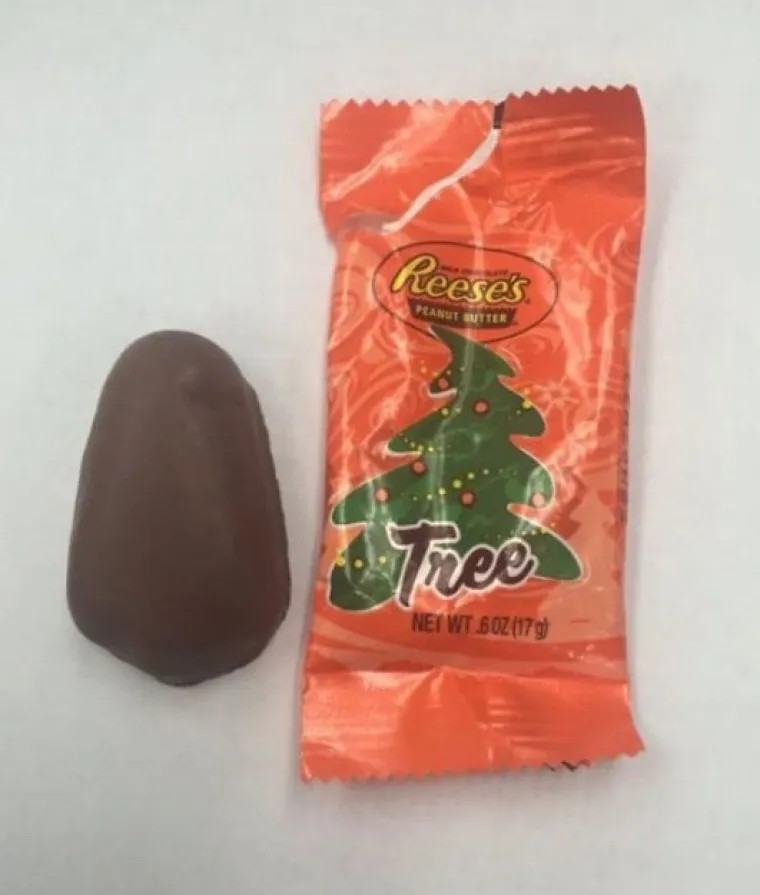 Božićne dekoracije koje su gre&scaron;kom postale urnebesne