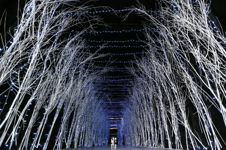 BAJKA U ZAGREBAČKOM MARIĆEVU PROLAZU: Novitet sa crnim zavjesama i bijelim granama prolaznike ostavlja bez daha