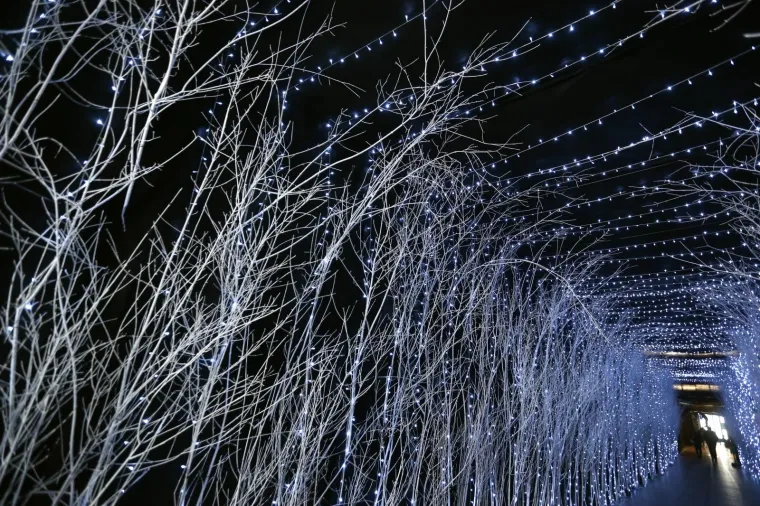 BAJKA U ZAGREBAČKOM MARIĆEVU PROLAZU: Novitet sa crnim zavjesama i bijelim granama prolaznike ostavlja bez daha