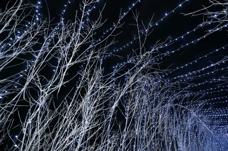 BAJKA U ZAGREBAČKOM MARIĆEVU PROLAZU: Novitet sa crnim zavjesama i bijelim granama prolaznike ostavlja bez daha