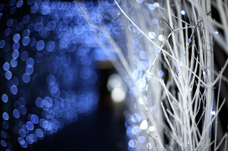 BAJKA U ZAGREBAČKOM MARIĆEVU PROLAZU: Novitet sa crnim zavjesama i bijelim granama prolaznike ostavlja bez daha