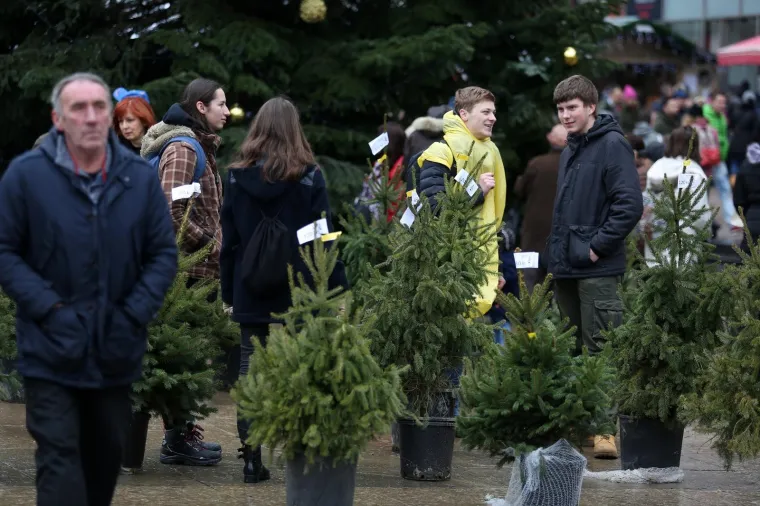 Milan Bandić na humanitarnoj prodaji božićnih drvaca u organizaciji Hrvatskog Caritasa