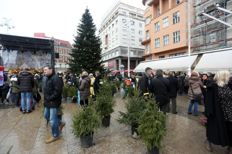 Milan Bandić na humanitarnoj prodaji božićnih drvaca u organizaciji Hrvatskog Caritasa