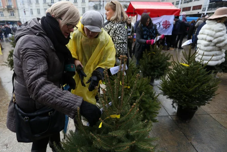 Milan Bandić na humanitarnoj prodaji božićnih drvaca u organizaciji Hrvatskog Caritasa
