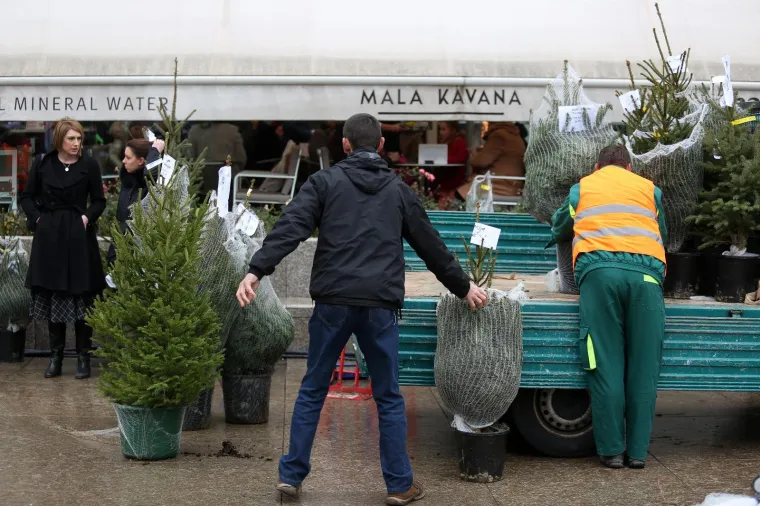 Milan Bandić na humanitarnoj prodaji božićnih drvaca u organizaciji Hrvatskog Caritasa