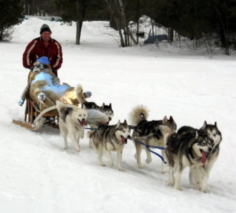 URNEBESNE PHOTOSHOP KATASTROFE: Bez obzira jesu li rezultati namjerni ili slučajni, rezultat je isti