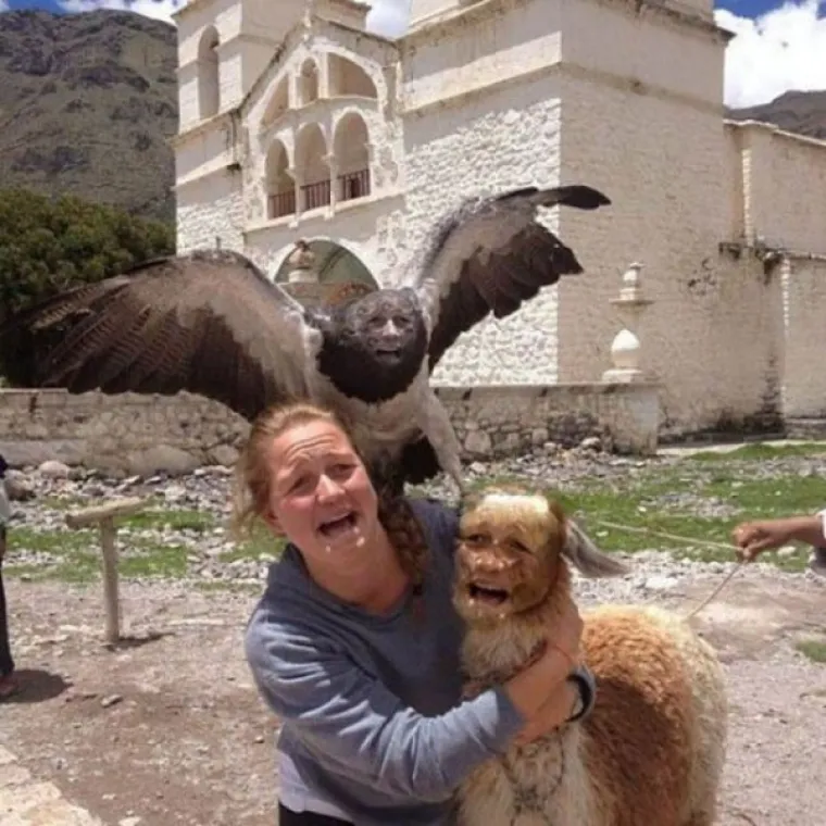 URNEBESNE PHOTOSHOP KATASTROFE: Bez obzira jesu li rezultati namjerni ili slučajni, rezultat je isti