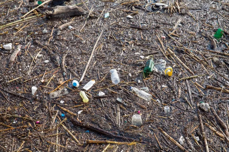 Stara dubrovačka luka čisti se danonoćno, a na obalu se izvlače čak i uginule životinje