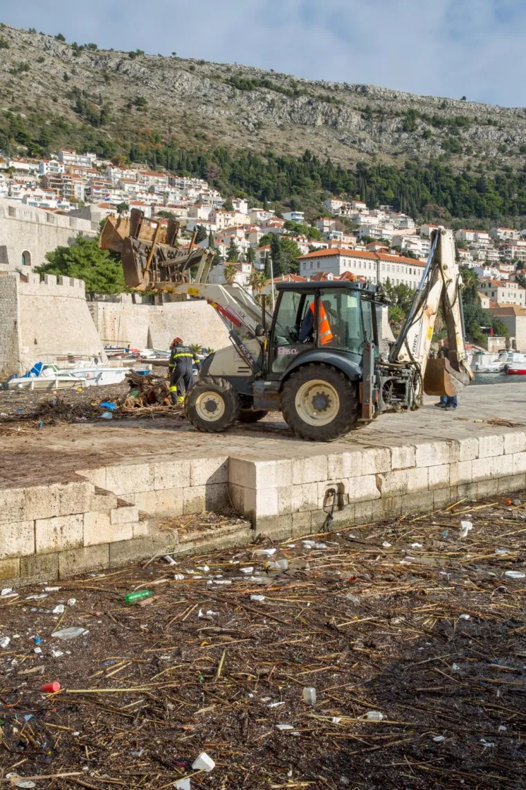 Stara dubrovačka luka čisti se danonoćno, a na obalu se izvlače čak i uginule životinje