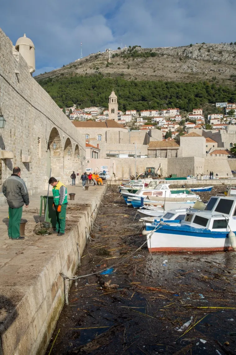 Stara dubrovačka luka čisti se danonoćno, a na obalu se izvlače čak i uginule životinje