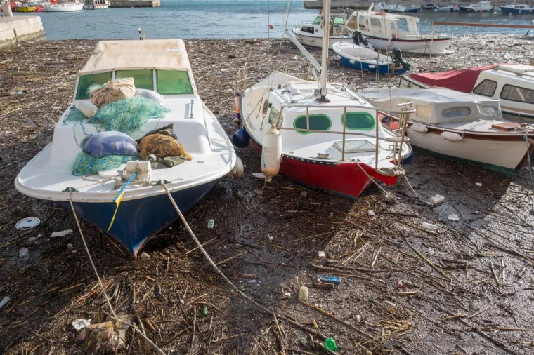 Stara dubrovačka luka čisti se danonoćno, a na obalu se izvlače čak i uginule životinje