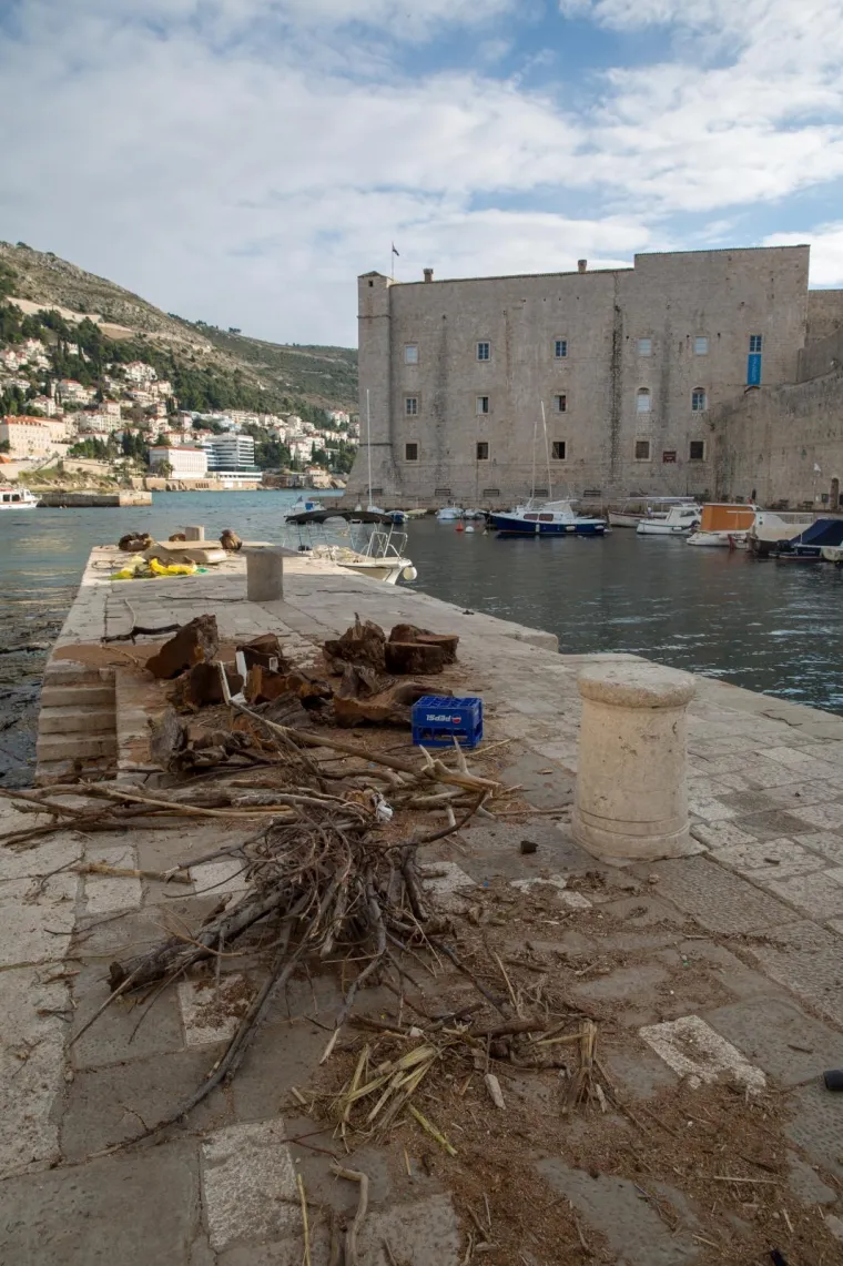 Stara dubrovačka luka čisti se danonoćno, a na obalu se izvlače čak i uginule životinje