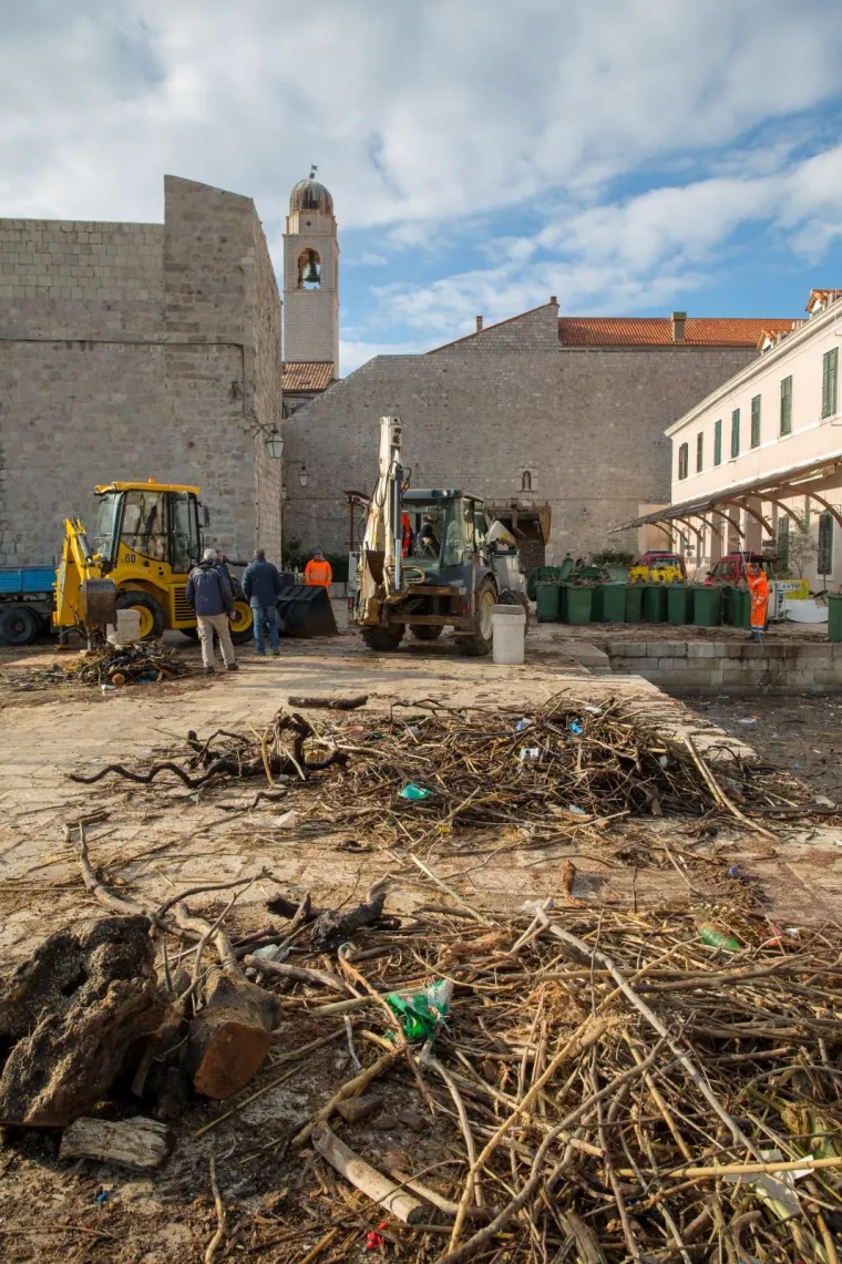 Stara dubrovačka luka čisti se danonoćno, a na obalu se izvlače čak i uginule životinje