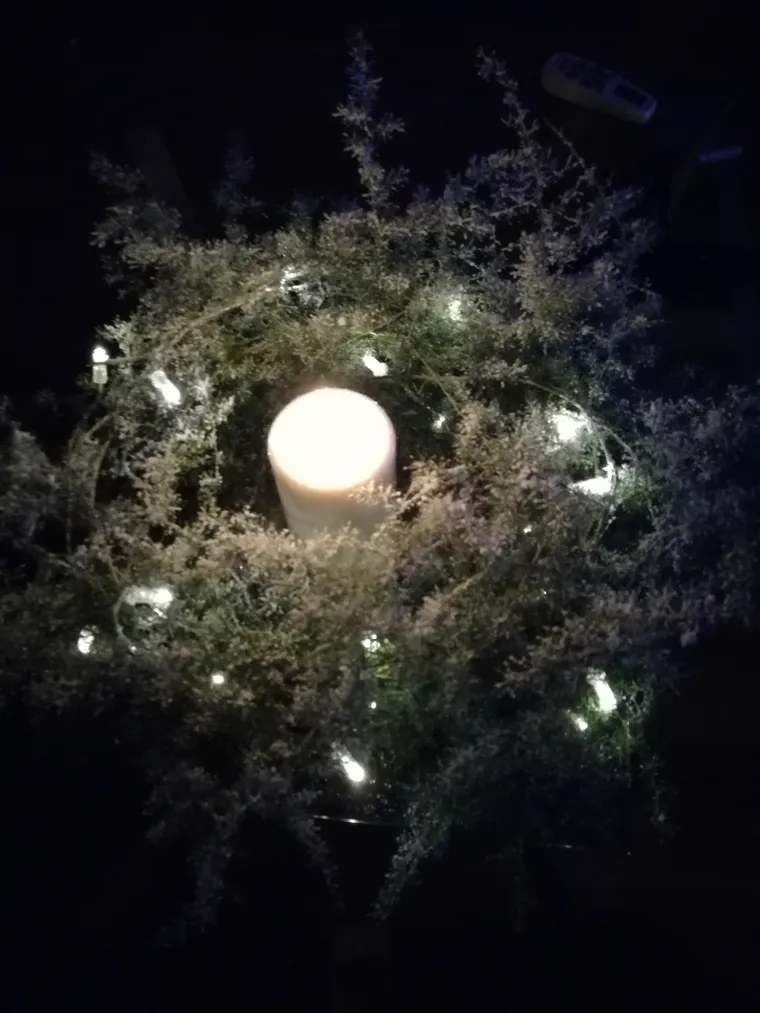 "&Scaron;paroga, poznata gurmanska namirnica, ne mora simbolizirai samo proljeće. U ovim zimskim danima njezine iglice ukrasit će va&scaron; blagdanski stol. Imate li sreće da živite u Primorju, naći ćete ih u izobilju.  Uberite par izdanaka &scaron;parožnica, toplo preporučuje smatrije biljke jer im je stabljika tamno zelene boje, a iglice su čvr&scaron;će. Zamotajte ih u vijenac, u sredini ostavite mjesta za svijeću. Možete ih ukrasiti i lampicama. Praktično je koristiti one na baterije kako biste vijenčić mogli premije&scaron;tati. Dojam je nevjerojatan. Jednostavnost biljke, bjelina umjetnog snijega i decentnost lampica bit će savr&scaron;en ukras za blagdanski stol", poručuje Emina Herceg, autorica blagdanskog vjenčića od &scaron;paroga.