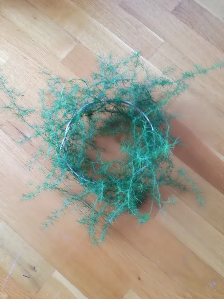 "&Scaron;paroga, poznata gurmanska namirnica, ne mora simbolizirai samo proljeće. U ovim zimskim danima njezine iglice ukrasit će va&scaron; blagdanski stol. Imate li sreće da živite u Primorju, naći ćete ih u izobilju.  Uberite par izdanaka &scaron;parožnica, toplo preporučuje smatrije biljke jer im je stabljika tamno zelene boje, a iglice su čvr&scaron;će. Zamotajte ih u vijenac, u sredini ostavite mjesta za svijeću. Možete ih ukrasiti i lampicama. Praktično je koristiti one na baterije kako biste vijenčić mogli premije&scaron;tati. Dojam je nevjerojatan. Jednostavnost biljke, bjelina umjetnog snijega i decentnost lampica bit će savr&scaron;en ukras za blagdanski stol", poručuje Emina Herceg, autorica blagdanskog vjenčića od &scaron;paroga.