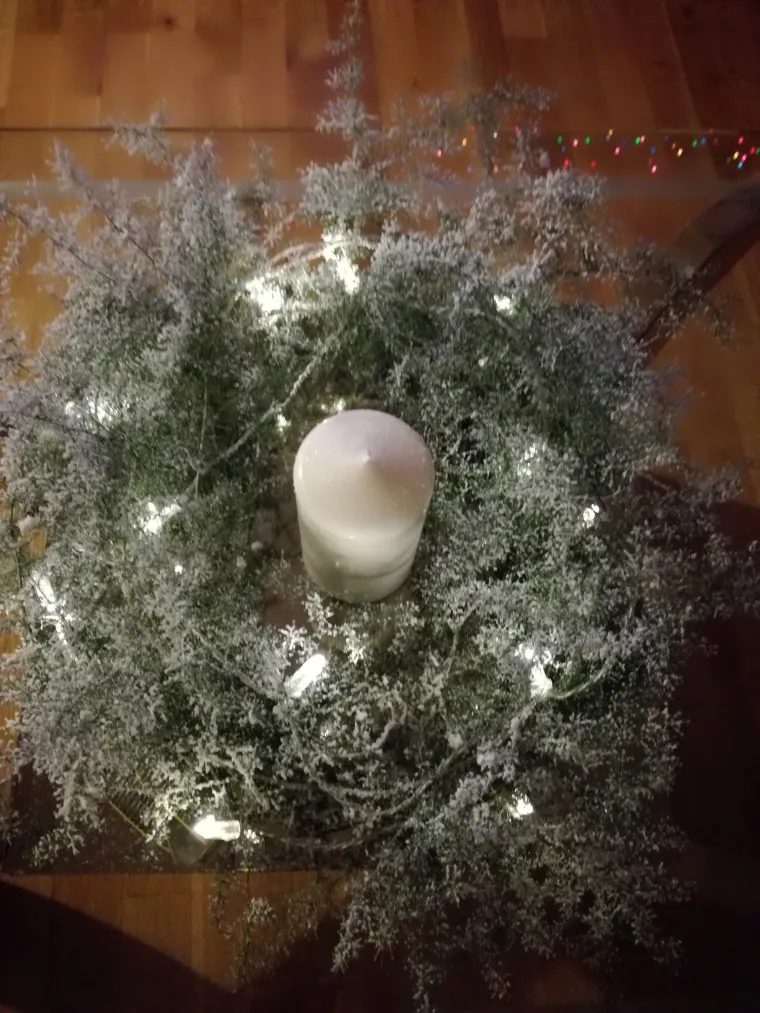 "&Scaron;paroga, poznata gurmanska namirnica, ne mora simbolizirai samo proljeće. U ovim zimskim danima njezine iglice ukrasit će va&scaron; blagdanski stol. Imate li sreće da živite u Primorju, naći ćete ih u izobilju.  Uberite par izdanaka &scaron;parožnica, toplo preporučuje smatrije biljke jer im je stabljika tamno zelene boje, a iglice su čvr&scaron;će. Zamotajte ih u vijenac, u sredini ostavite mjesta za svijeću. Možete ih ukrasiti i lampicama. Praktično je koristiti one na baterije kako biste vijenčić mogli premije&scaron;tati. Dojam je nevjerojatan. Jednostavnost biljke, bjelina umjetnog snijega i decentnost lampica bit će savr&scaron;en ukras za blagdanski stol", poručuje Emina Herceg, autorica blagdanskog vjenčića od &scaron;paroga.