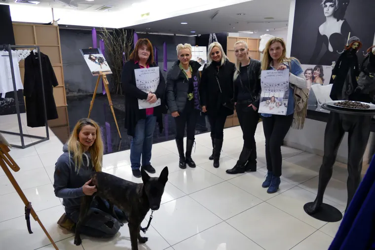 Poznati se uvukli u krevet i pozirali s psima i macama u projektu za pomoć napu&scaron;tenim ljubimcima