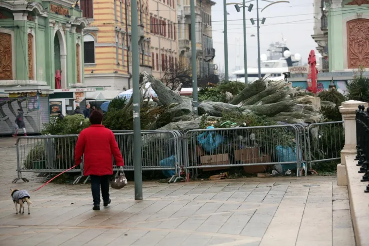 Tužan prizor: stotine neprodanih jelki u Rijeci čekaju komunalne službe da ih odvedu na otpad