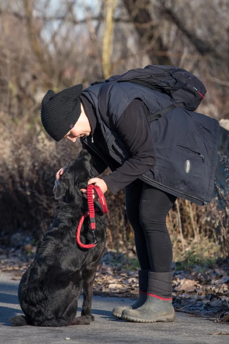 Osijek: Organiziran Božićni ručak u azilu kao zahvala svim volonterima i prijateljima azila