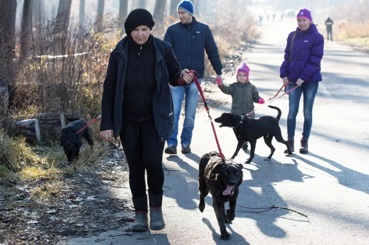 Osijek: Organiziran Božićni ručak u azilu kao zahvala svim volonterima i prijateljima azila