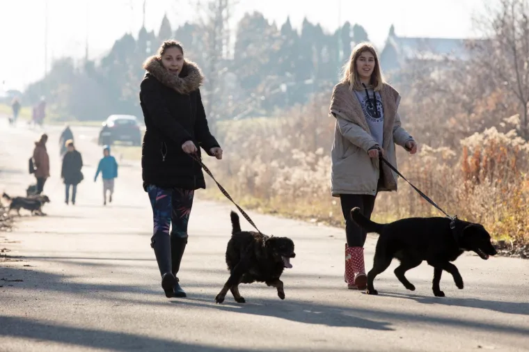 Osijek: Organiziran Božićni ručak u azilu kao zahvala svim volonterima i prijateljima azila
