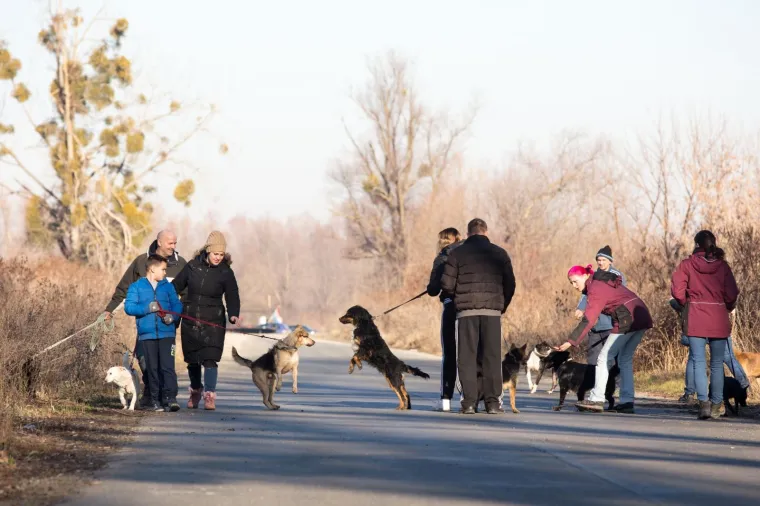 Osijek: Organiziran Božićni ručak u azilu kao zahvala svim volonterima i prijateljima azila