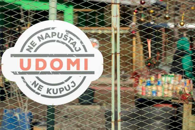 Osijek: Organiziran Božićni ručak u azilu kao zahvala svim volonterima i prijateljima azila