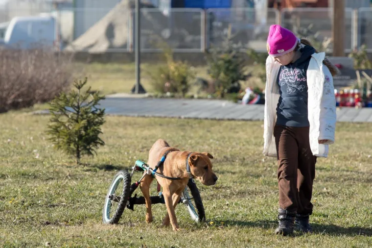 Osijek: Organiziran Božićni ručak u azilu kao zahvala svim volonterima i prijateljima azila