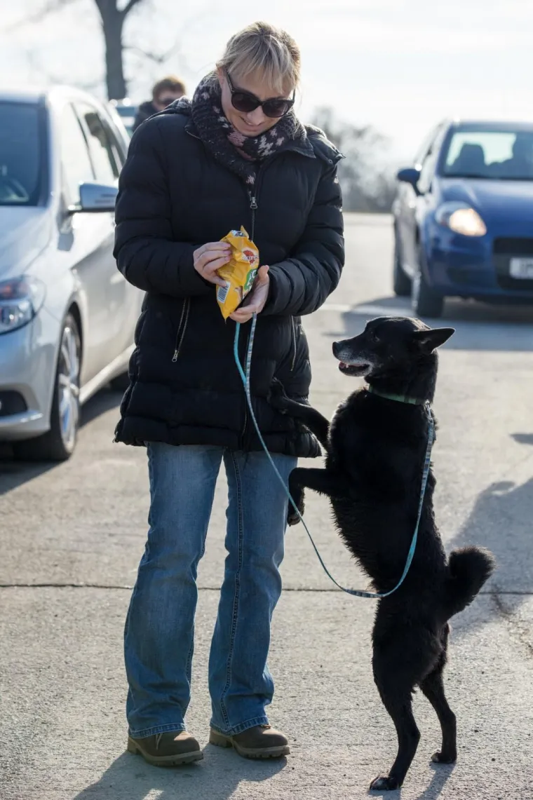 Osijek: Organiziran Božićni ručak u azilu kao zahvala svim volonterima i prijateljima azila
