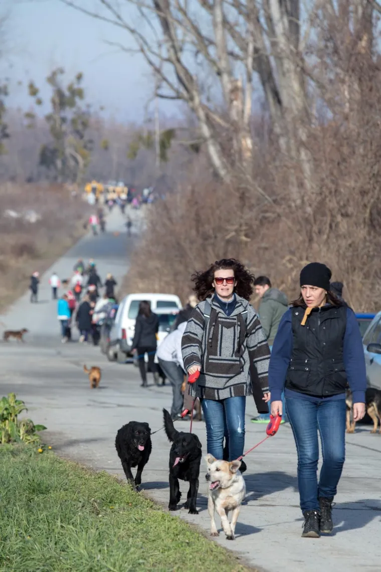 Osijek: Organiziran Božićni ručak u azilu kao zahvala svim volonterima i prijateljima azila