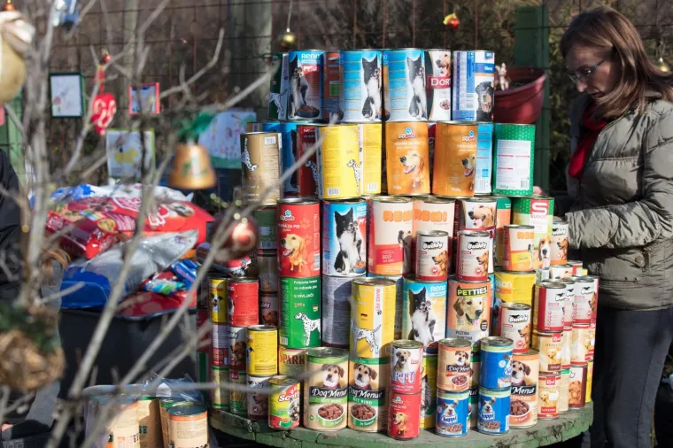 Osijek: Organiziran Božićni ručak u azilu kao zahvala svim volonterima i prijateljima azila