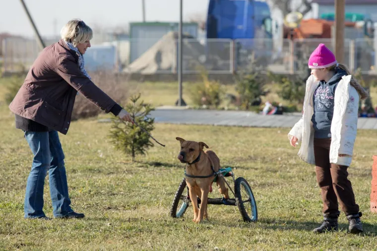 Osijek: Organiziran Božićni ručak u azilu kao zahvala svim volonterima i prijateljima azila