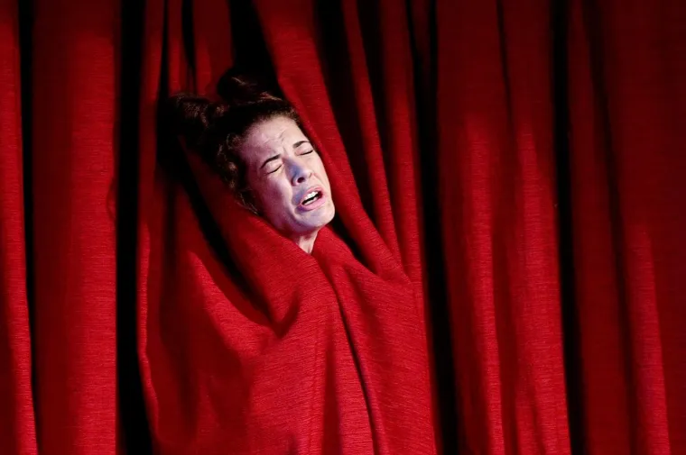 18.03.2017., Velika Gorica - U dvorani Centra za kulturu održana premijera predstave Gospođica neću.