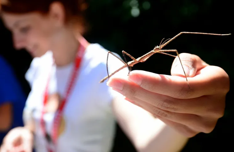 28.05.2017., Zagreb - 6. znanstveni piknik pod sloganom Znanost je zabavna, u prostoru Jadran filma u Dubravi.