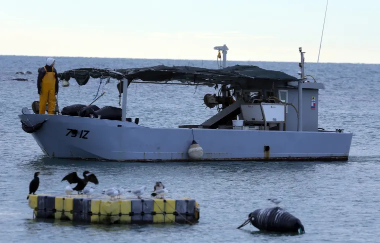 Napeto u Savudriji: ribari i policija na moru uz granicu sa Slovenijom