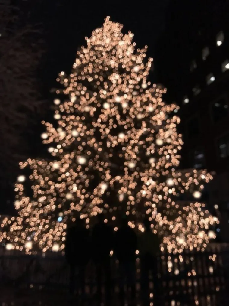 POVJERILI FOTOAPARATE POTPUNIM STRANCIMA: Turisti zamolili prolaznike da ih uslikaju pa dobili urnebesne fotke