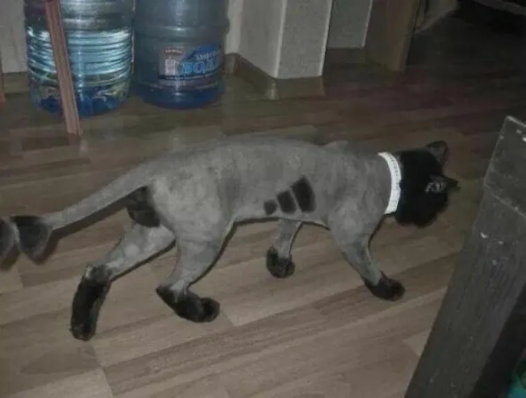 RUSI STVARNO VOLE ŽIVOT NA RUBU: Kamo god krenete, nikada ne znate &scaron;to će vas dočekati, ali će vas sigurno zbuniti