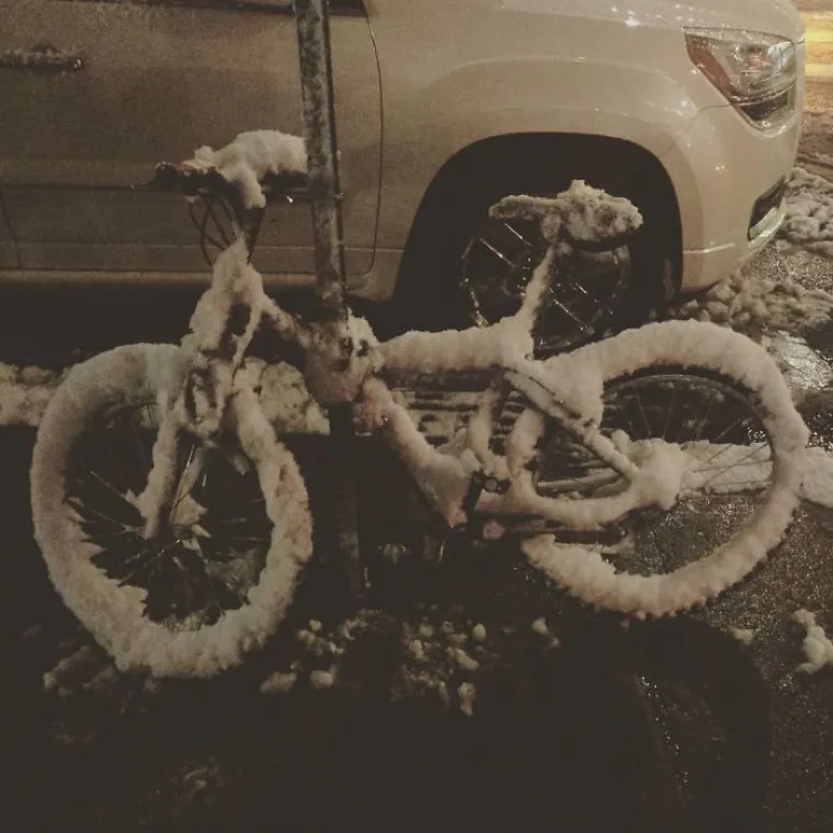 AMERI SE SMRZAVAJU, A OSTATAK SVIJETA UŽIVA U NJIHOVIM FOTKAMA: Fascinantni prizori kojima se jedni dive drugima su izvor velikih problema