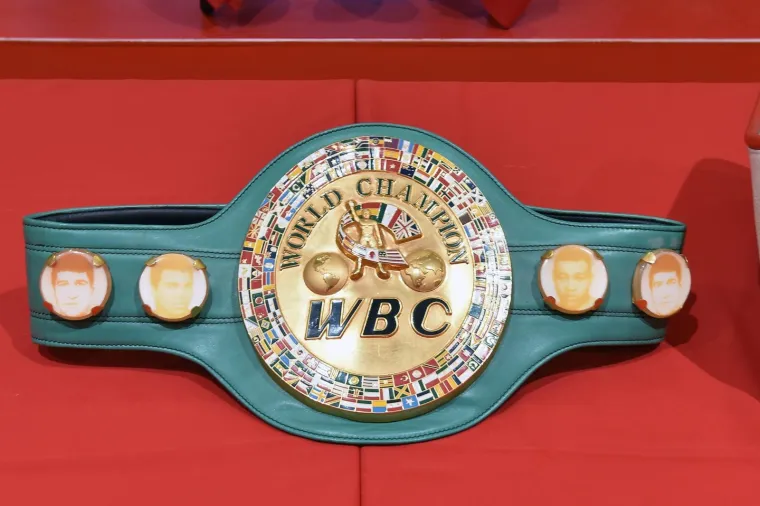 DAN POSVEĆEN ISTINSKOM VELIKANU: Ovako je bilo na otkrivanju spomenika najvećem hrvatskom sportašu 20. stoljeća