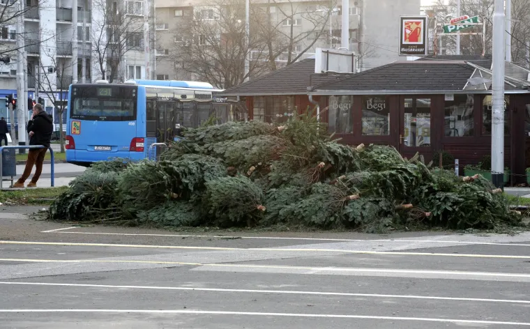 Svake godine ista priča u Zagrebu: odbačeni borovi leže na ulicama nakon zavr&scaron;enih božićnih blagdana