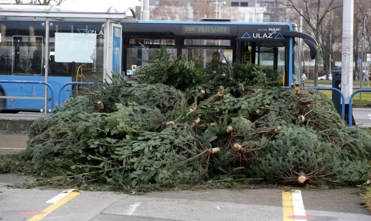 Svake godine ista priča u Zagrebu: odbačeni borovi leže na ulicama nakon zavr&scaron;enih božićnih blagdana