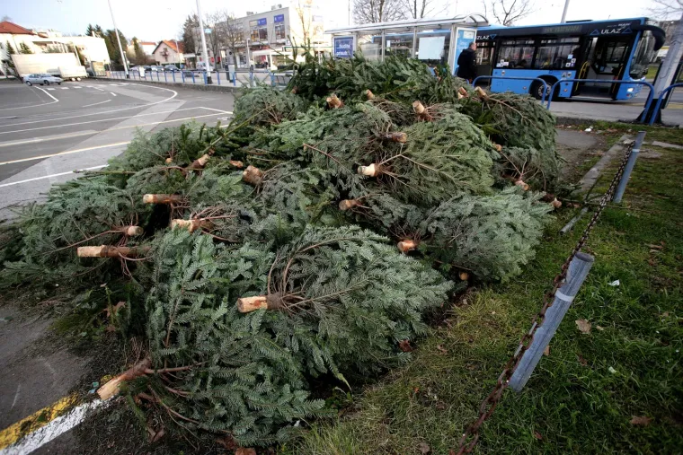 Svake godine ista priča u Zagrebu: odbačeni borovi leže na ulicama nakon zavr&scaron;enih božićnih blagdana
