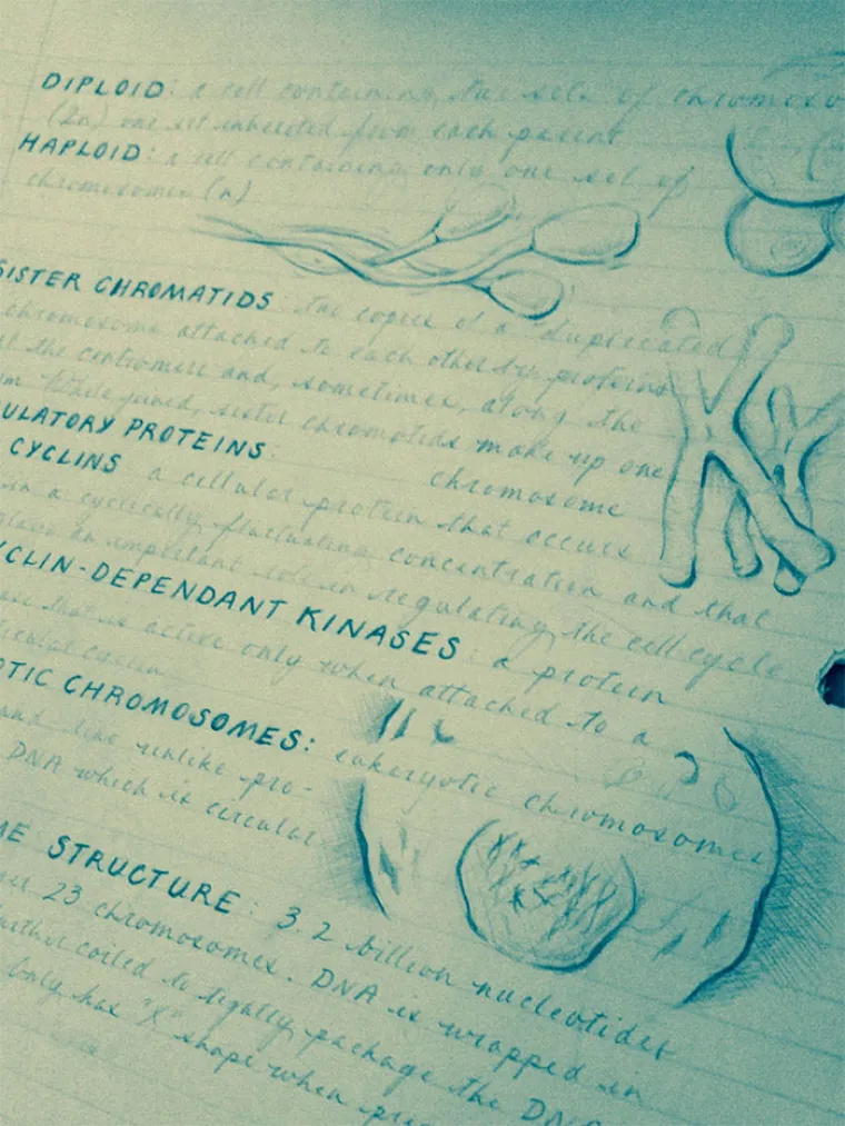 UMJETNOST KOJA IZUMIRE: Uskoro će nestati vje&scaron;tina koja i &scaron;alabahtere pretvara u remekdjela